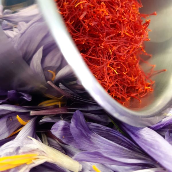 Safran en pistils – Image 7